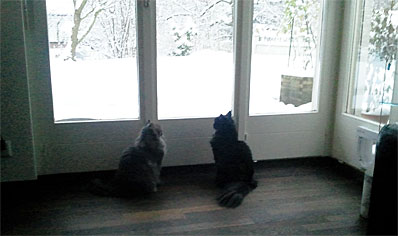 Winter