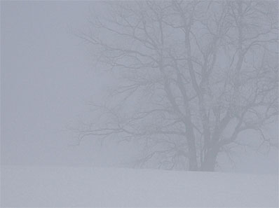 Nebel