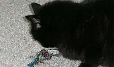 Negrita