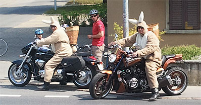 Osterhase