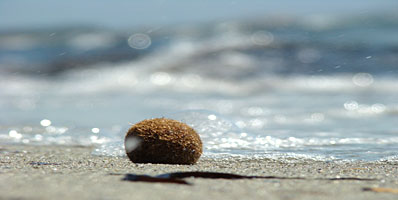 Sardinien