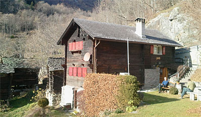 Schaffe im Wallis