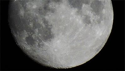 Mond