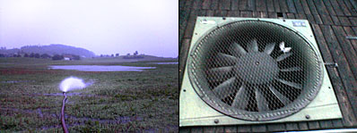 >Unwetter August 07
